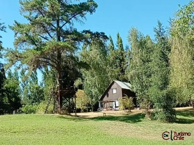 Cabaña de madera oscura tipo chalet entre árboles, Cabañas Ruy Kun