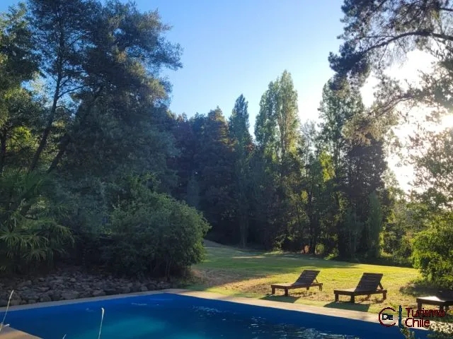 Piscina y jardines de Cabañas Ruy Kun con palmeras y árboles nativos, Saltos del Laja