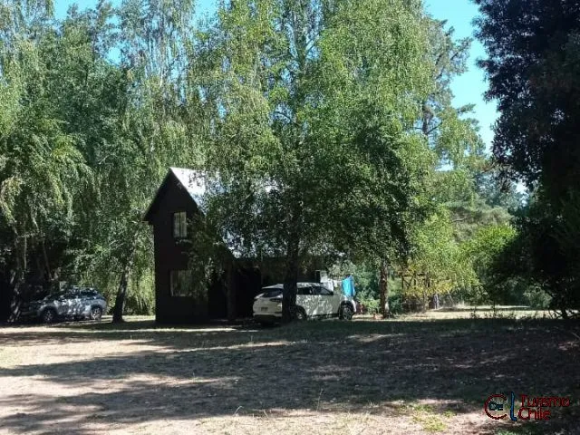 Piscina azul con palmeras y paisajismo de piedras, Cabañas Ruy Kun